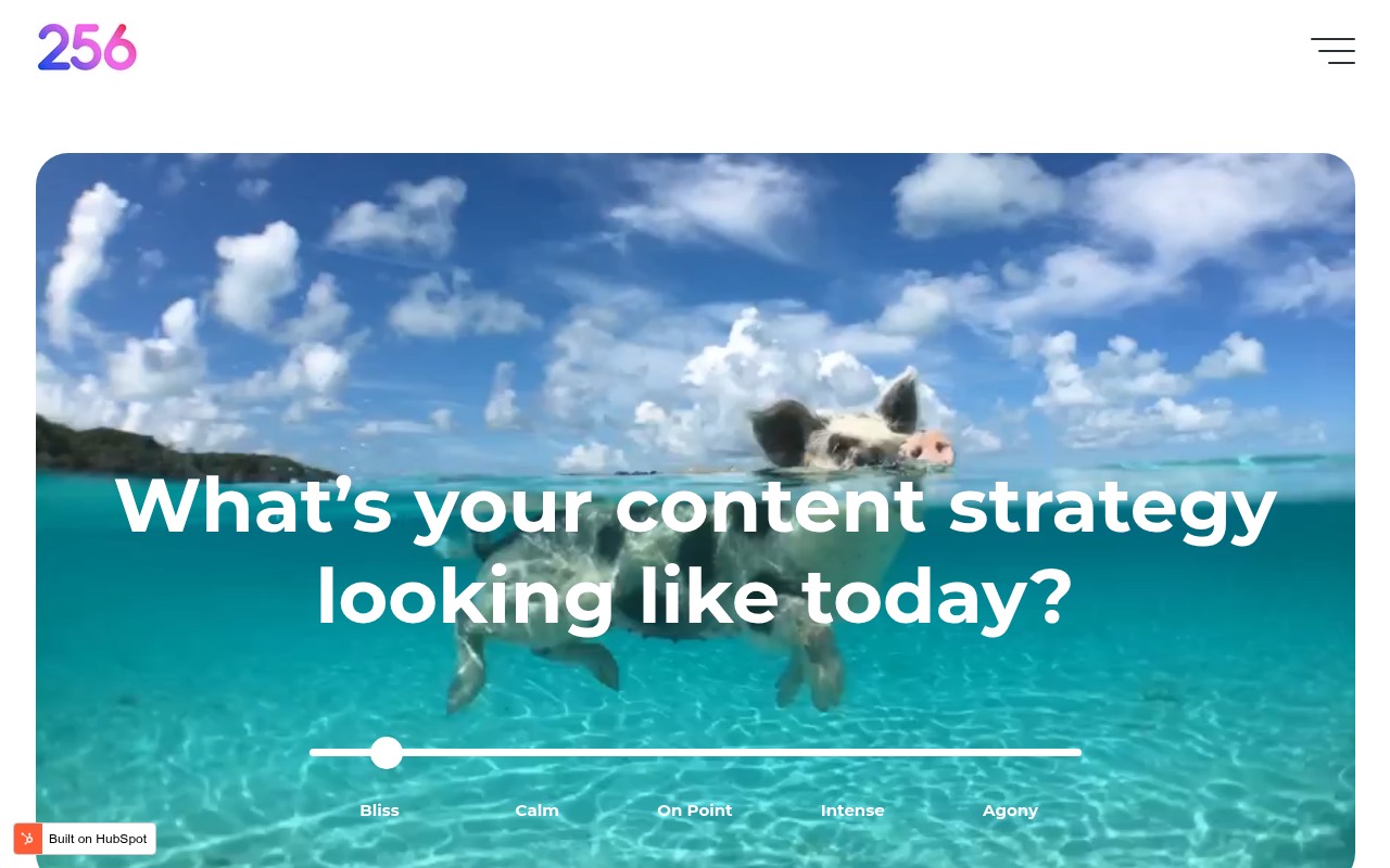 256 Content homepage