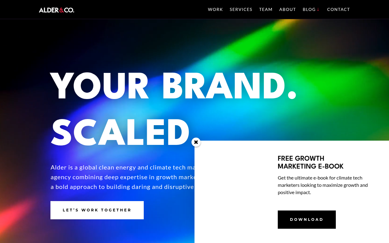 Alder & Co. homepage