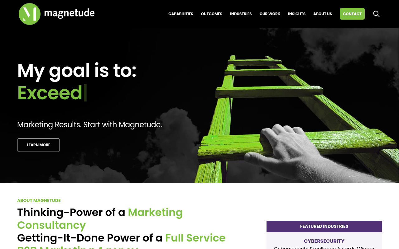 Magnetude Consulting homepage