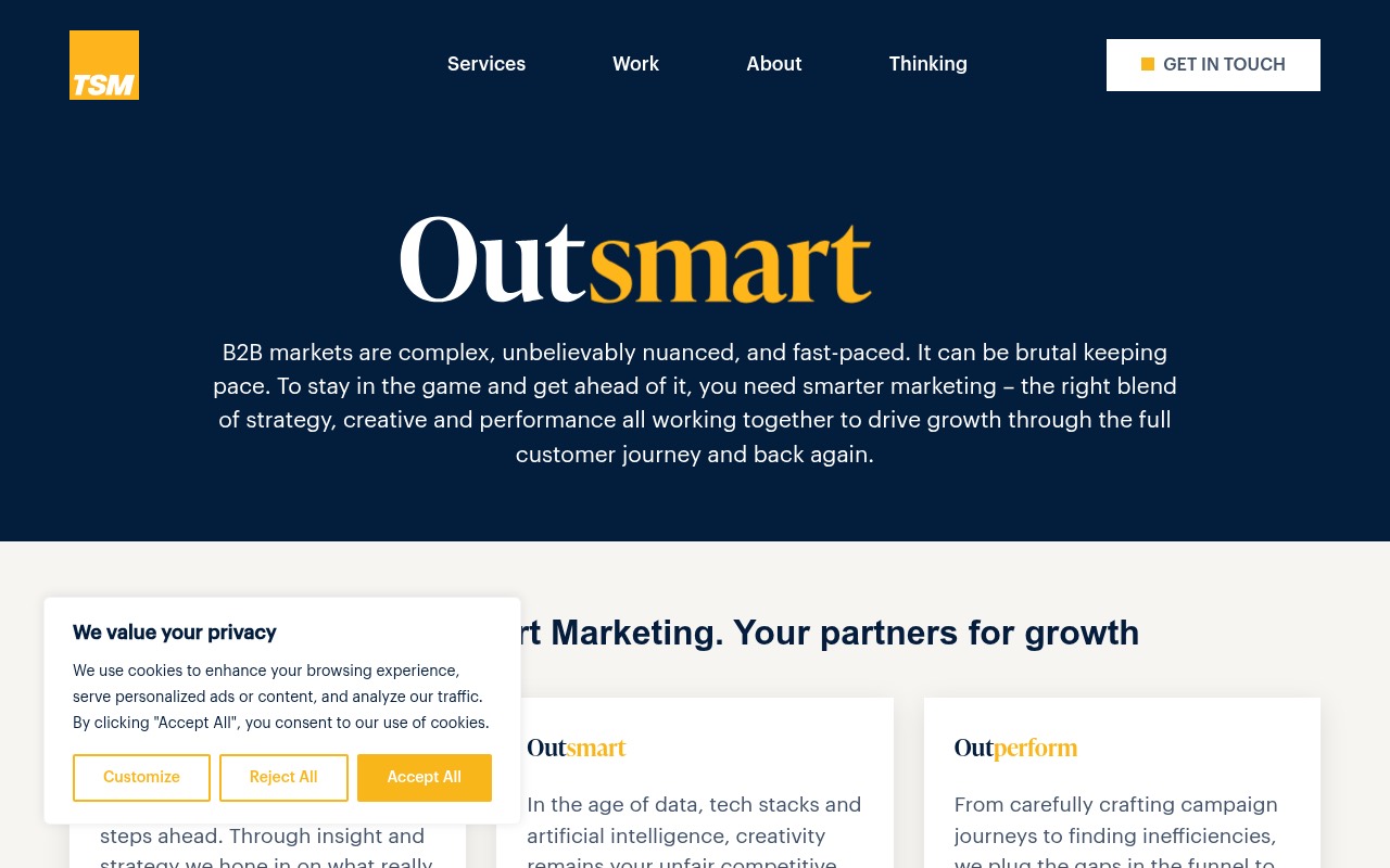TSM Thinksmart Marketing homepage