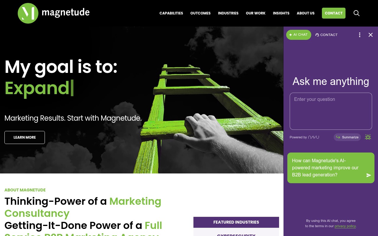 Magnetude Consulting homepage
