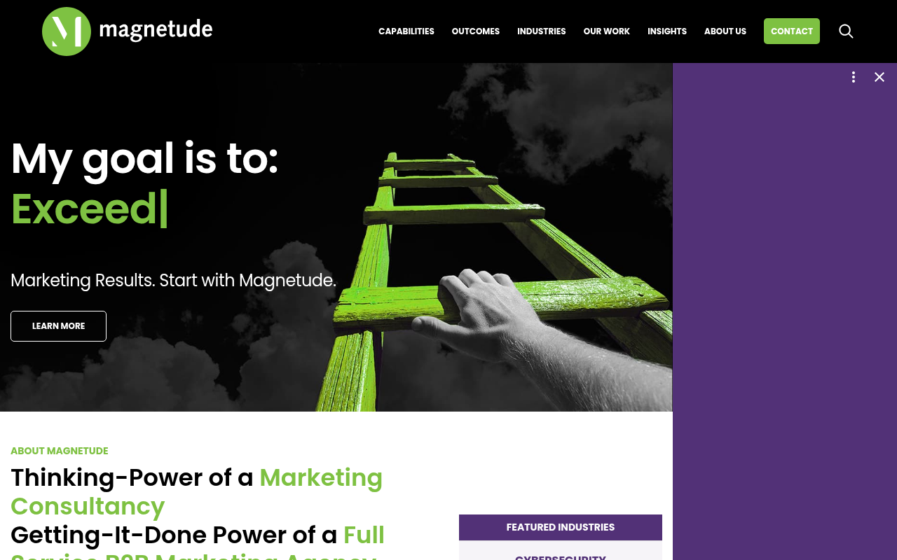 Magnetude Consulting homepage