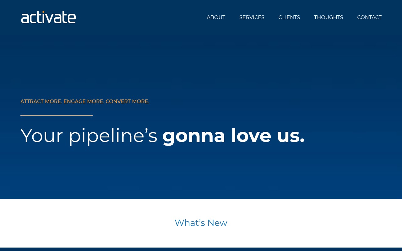 Activate Marketing Services homepage