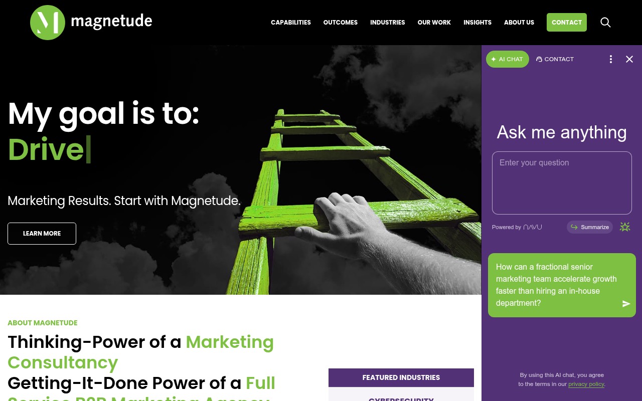 Magnetude Consulting homepage